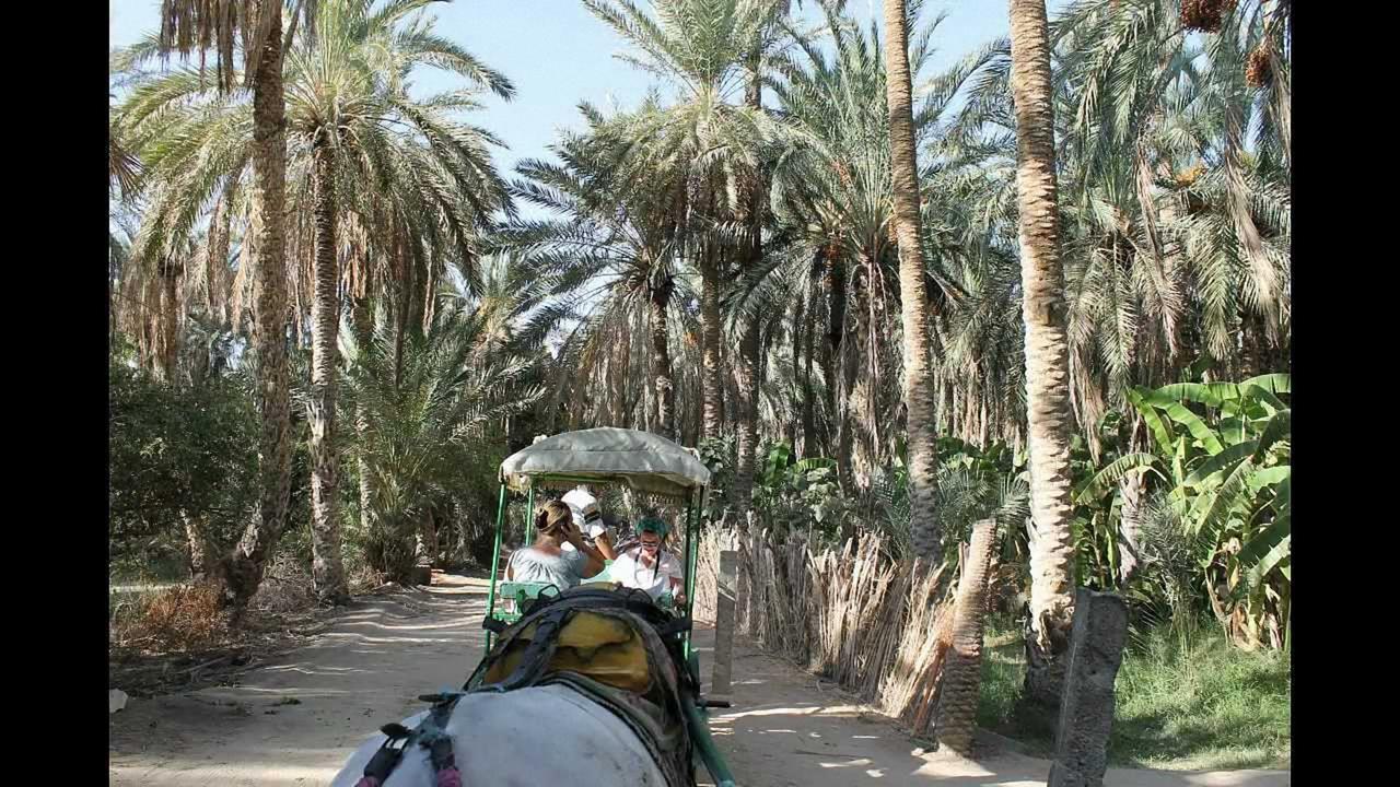 Dar Ezzahra Villa Tozeur Eksteriør billede